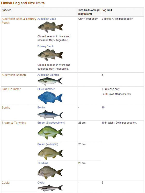 关于鱼的尺寸和数量限制